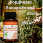 Кордицепс «Вооружённый» — 120 веганских капсул