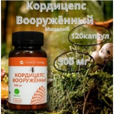 Кордицепс «Вооружённый» — 120 веганских капсул
