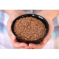 Антираковая диета доктора Ласкина